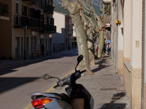 480 mm/m2 au premier trimestre, que d'eau. L'eau roule encore dans le torrent majeur. Vues du Puig Major depuis une rue et un jardin