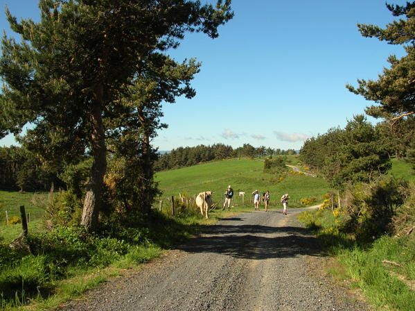 Album - margeride---au-pays-de-la-b-te-du-g-vaudan