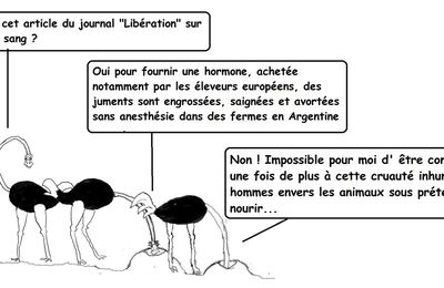 Maltraitance animale : De la corrida au gavage des oies en passant par les fermes à sang de cheval et les abattoirs bio où règnent la pire des cruautés, la notre