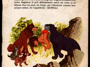 le livre de la jungle raconté par Jacques Duby