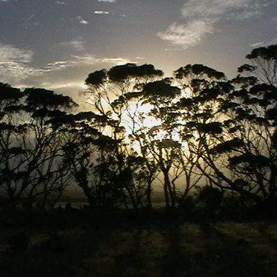 In South Australia
