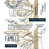 Tampons transparents A6 - famille Fée du Scrap