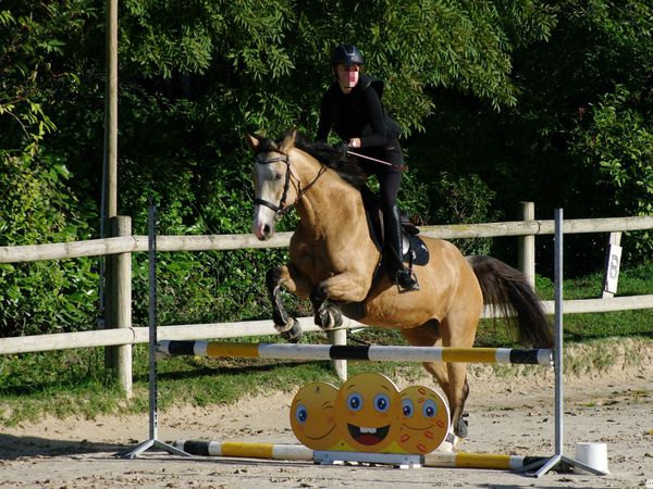 Halloween (CSO &amp; dressage) au centre équestre du St Eynard (part2)