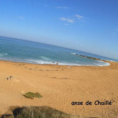 Promenade à vélo à Olonne sur mer de l'Anse de Chaillé à Sauveterre