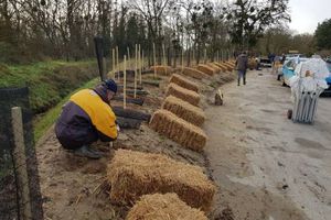 "Territoires engagés pour la nature", ces trois villes du Loiret ont des idées originales pour favoriser la biodiversité