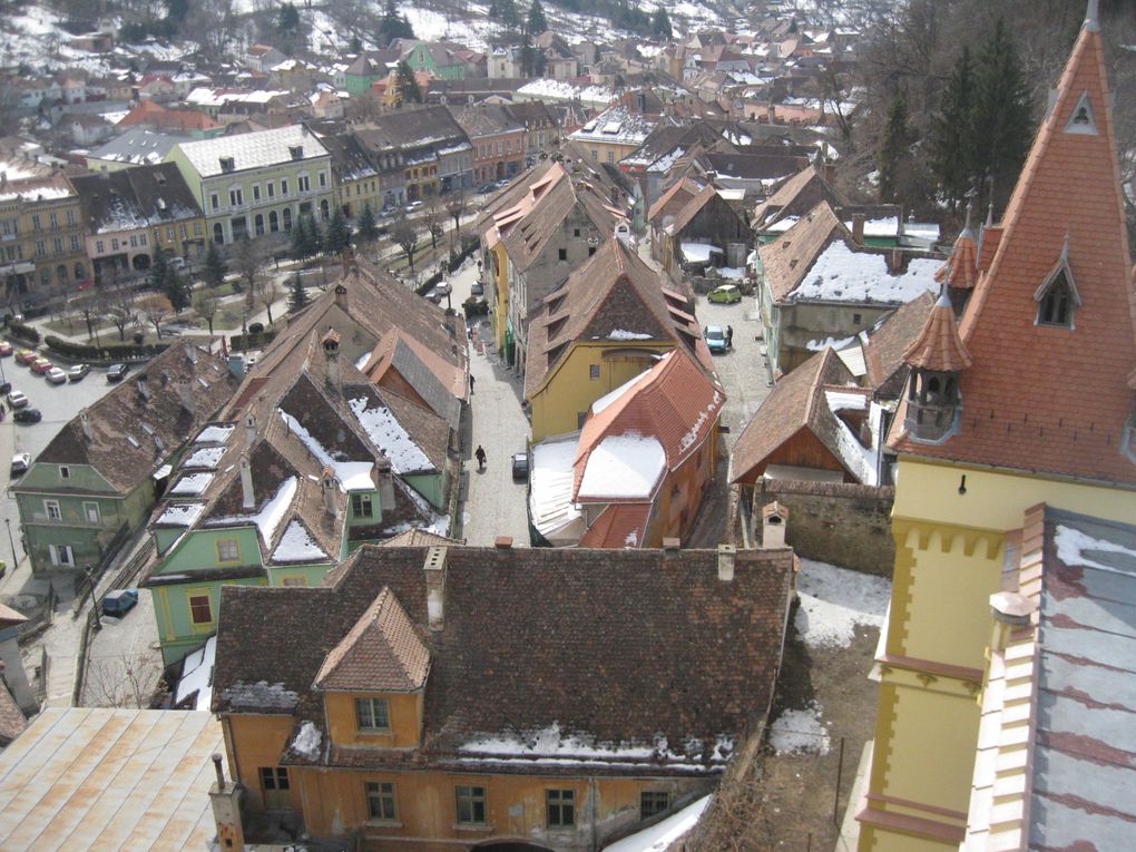 Sighisoara, le château de Bran et la mine de sel