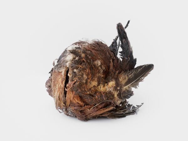 Untitled 2013, Peau de poulet, plastique; Mandoline modifiée, paratonnerre; Peau de pigeon, plastique; Sclupture de Ronald McDonald modifiée; Peau de poulet, bâton de bois, plumes de poulet, gant en plastique