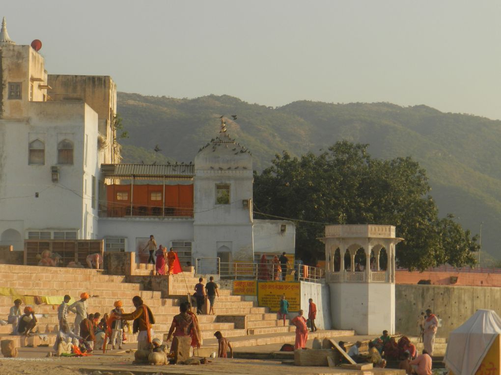 Album - INDE-Pushkar