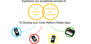 Challenges in Mobile Website Development