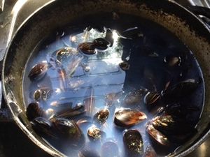 Moules-frites façon créole pour fêter la belgique avec le blog de Sophie et cuisiner pour la paix  