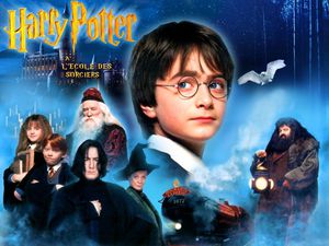 Premier livre : Harry Potter