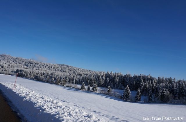 Le jour où j'ai skié dans le Jura...