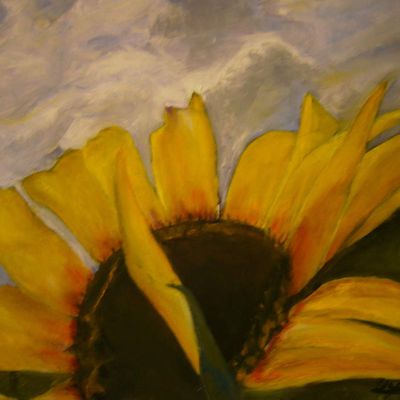 " Le Tournesol "