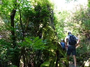 LE CAROUX Juin 2018 La &quot;SUPER RANDO&quot;