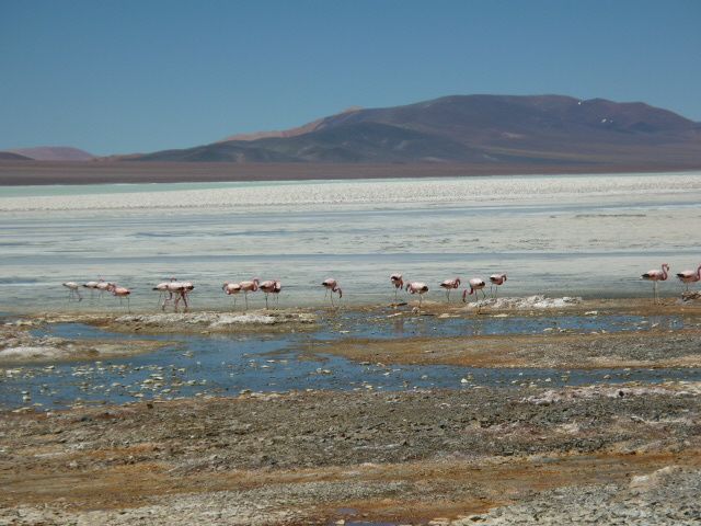 Album - 03.Argentine Nord-Ouest