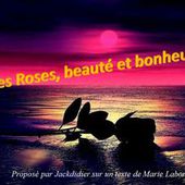 les_roses beaute et bonheur jackdidier