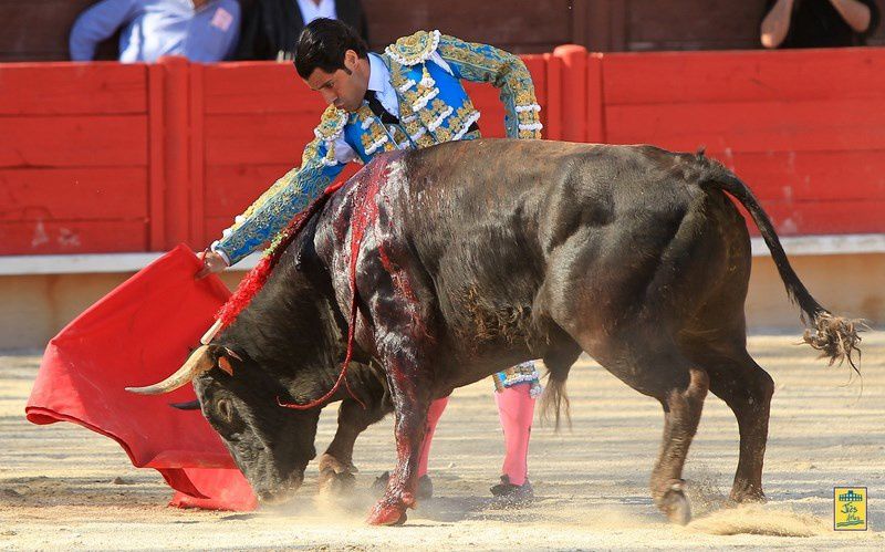 Arènes de VERGEZE (30) Dimanche 14 avril 2013 à 16H30-  Corrida du Rhôny avec  6 Toros des Frères Tardieu pour Marc Serrano, Antonio-João Ferrera et Alberto Lamelas - Cavalerie Heyral