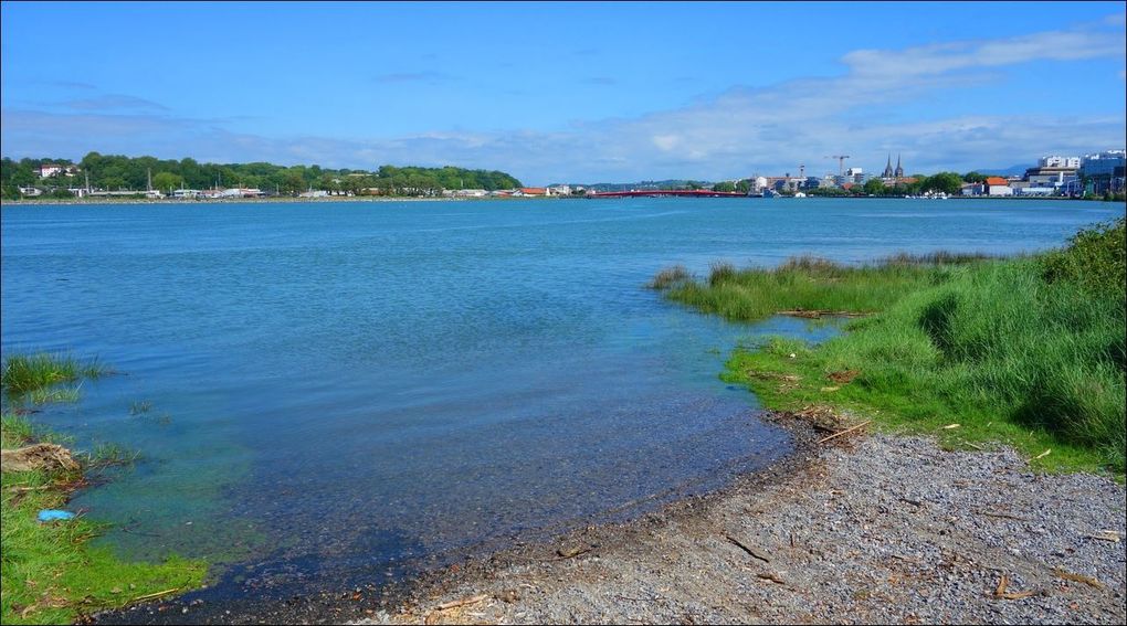 Biarritz à Bayonne (Rando) AA
