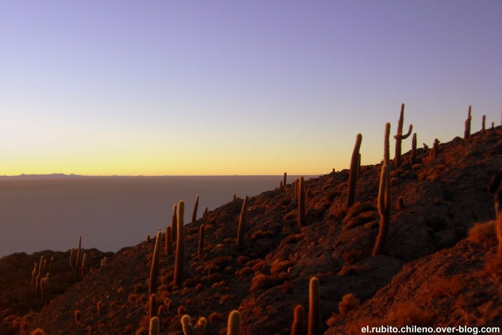 Levé de soleil depuis la Isla de Incahuasi. Traversé d'une des merveilles naturelles du monde. Le plus grand désert de sel du monde. Du blanc à perte de vue et un ciel bleu extraordinaire.