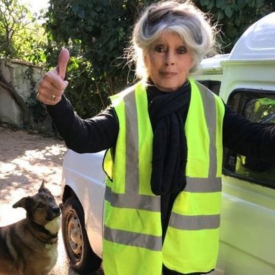 Brigitte Bardot veut lancer une campagne nationale de stérilisation des chats