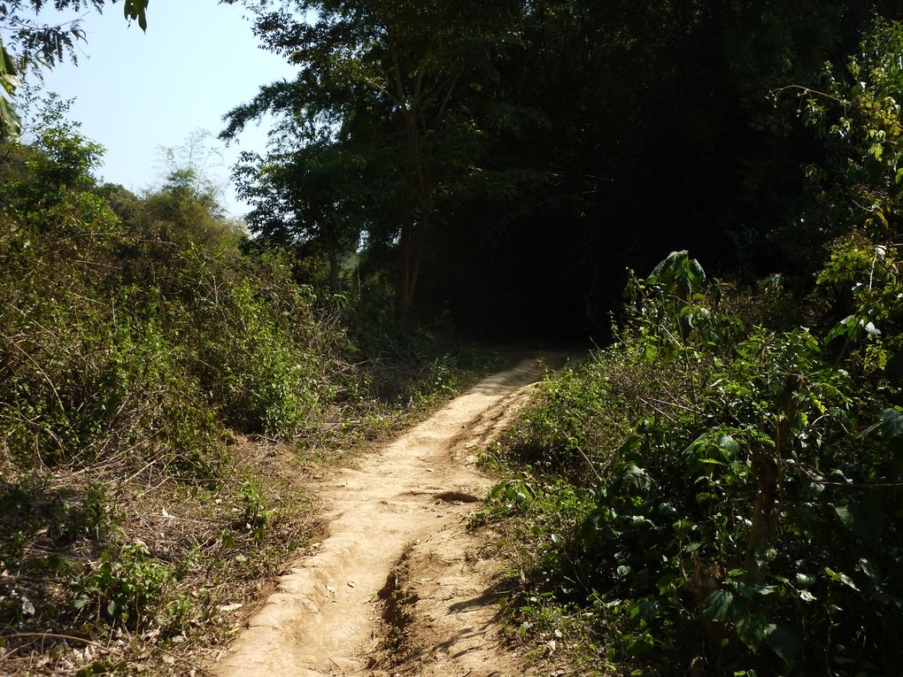 Descente de la Nam Ou river et balades magnifiques