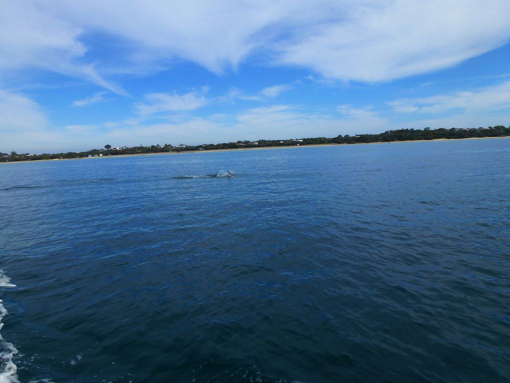 Album - ON-BOAT