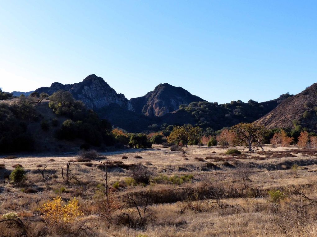 Los Padres, Malibu, Mojave, Joshua, Los Angeles