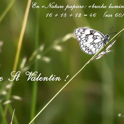 Broche lumineuse pour la saint Valentin