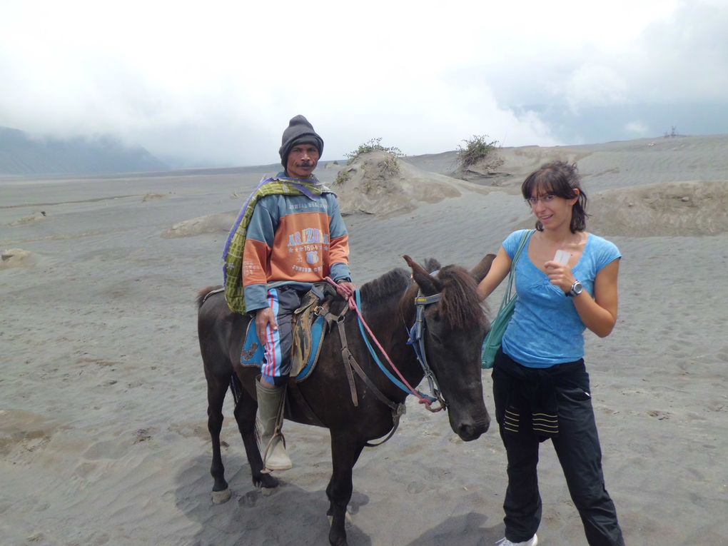 I magici paesaggi lunari di Bromo, il più famoso vulcano dell'isola di Java!