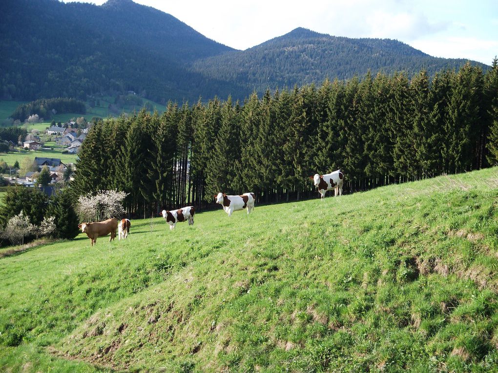 Album - le-doubs1