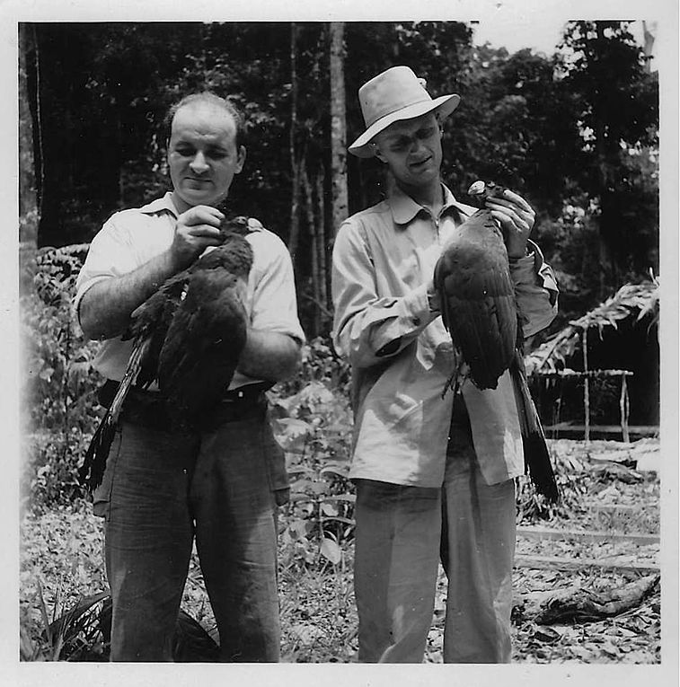 Des photos prises au Congo dans les années 1950, dans la région du Kouilou et le Mayombe (encore merci à Françoise !)