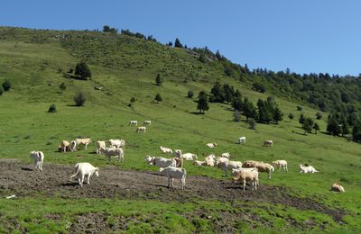 Les Hautes Pyrénées