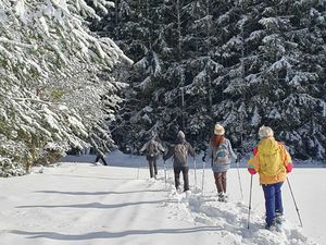 Randonnée raquettes jeudi  7 décembre 2023 au Lac Blanc