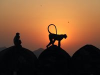RAJASTHAN (Inde 🇮🇳)