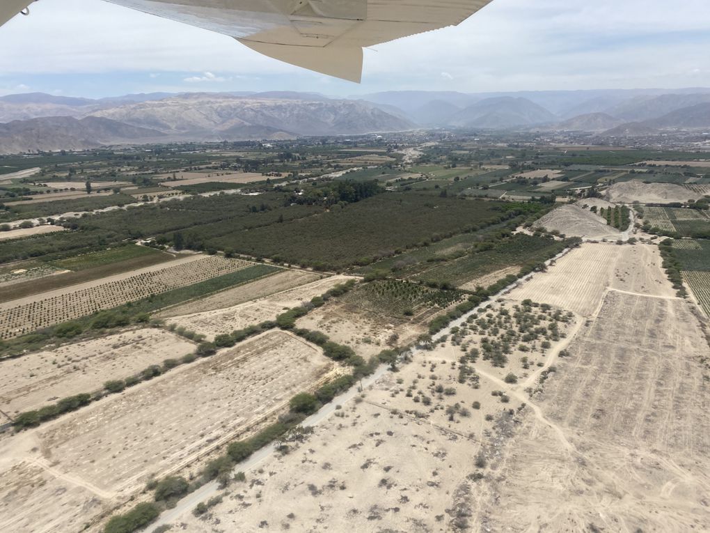 Les Llamitos à Nazca