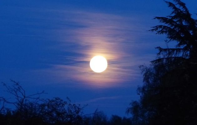 La Lune au parc de la Roseraie St Nicolas / The Moon, taken from the Roseraie St Nicolas parc