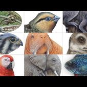Giving Life to Rocks | 'Inspired by Nature' by Roberto Rizzo (Before/After Transformation)