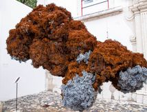 LISBONNE : Culture de rue