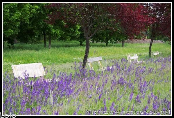 photos au fil des jours