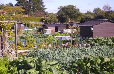 Les jardins familiaux