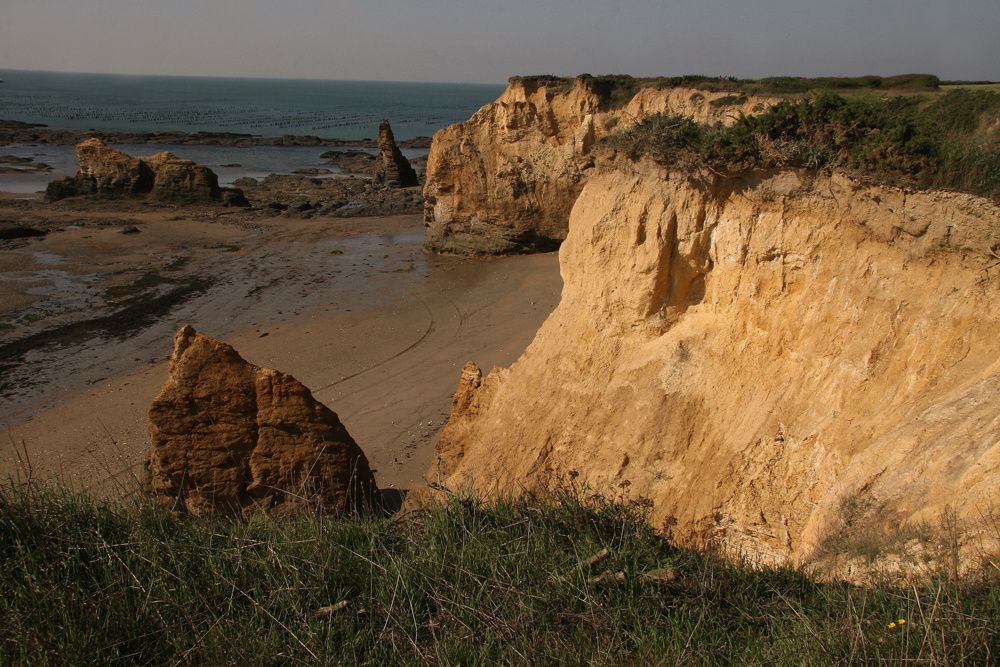 Les parcs à moules de bouchot de la Pointe du Bil