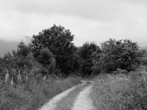 Sur les sentiers du Bousquet