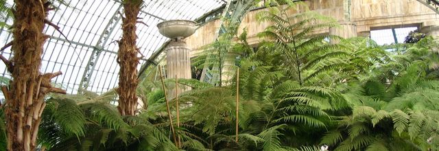 Belgique/Les serres de Laeken