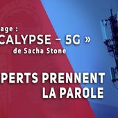 Court-métrage : " Apocalypse - 5G " de Sacha Stone - les experts prennent la parole