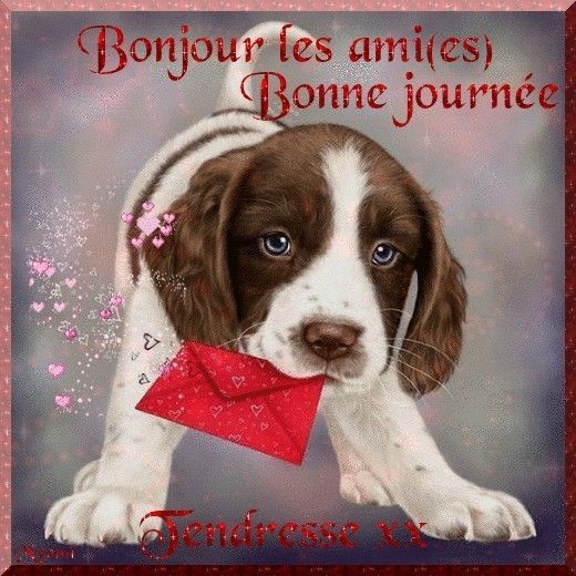 Divers gens d'esprit