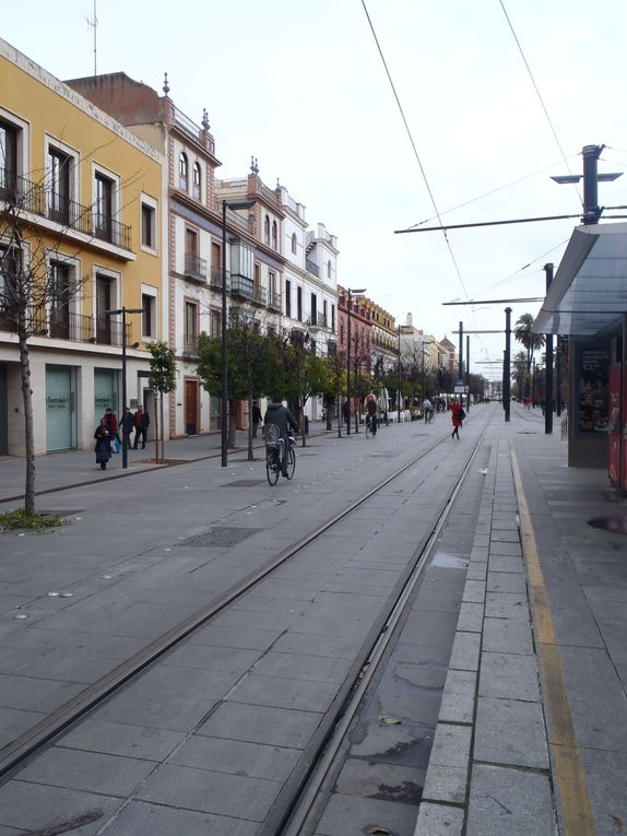 seville,4 jours pass'e là bas.Surment une ds plu beles viles que j'ai visité,où que l'on pose les yeux on en prend plein la vue.Le climat etait meilleur,ben qu'humide, ce qui m'aura permis de profiter de la ville au maximum.