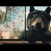 Mando Diao - Long Long Way (Official Video)