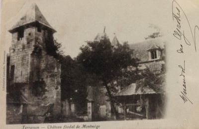 Le château de Montmège