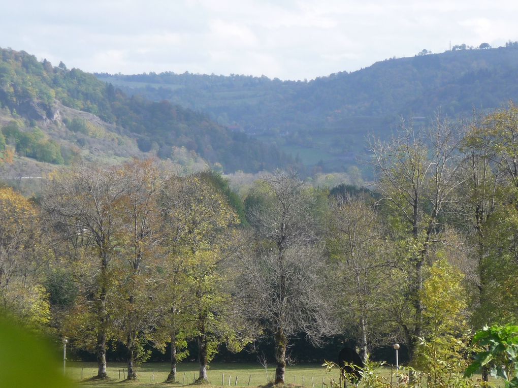 Album - cantal-automne