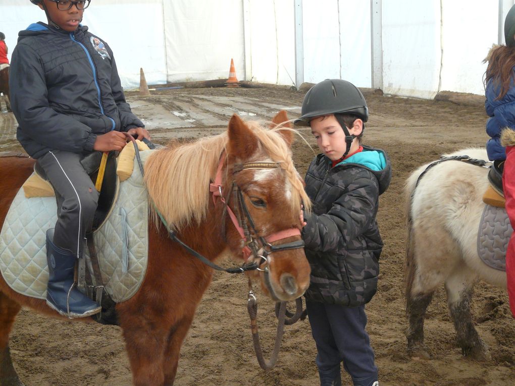 L'EQUITATION au Multisports
